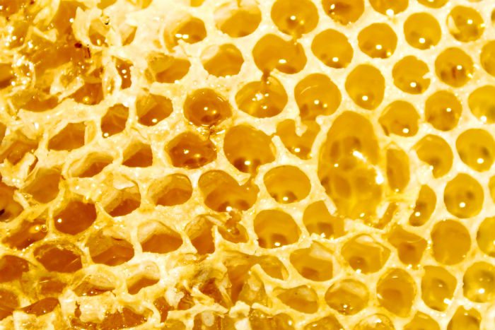 dermatite seborroica miele